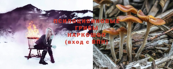 ECSTASY Волоколамск